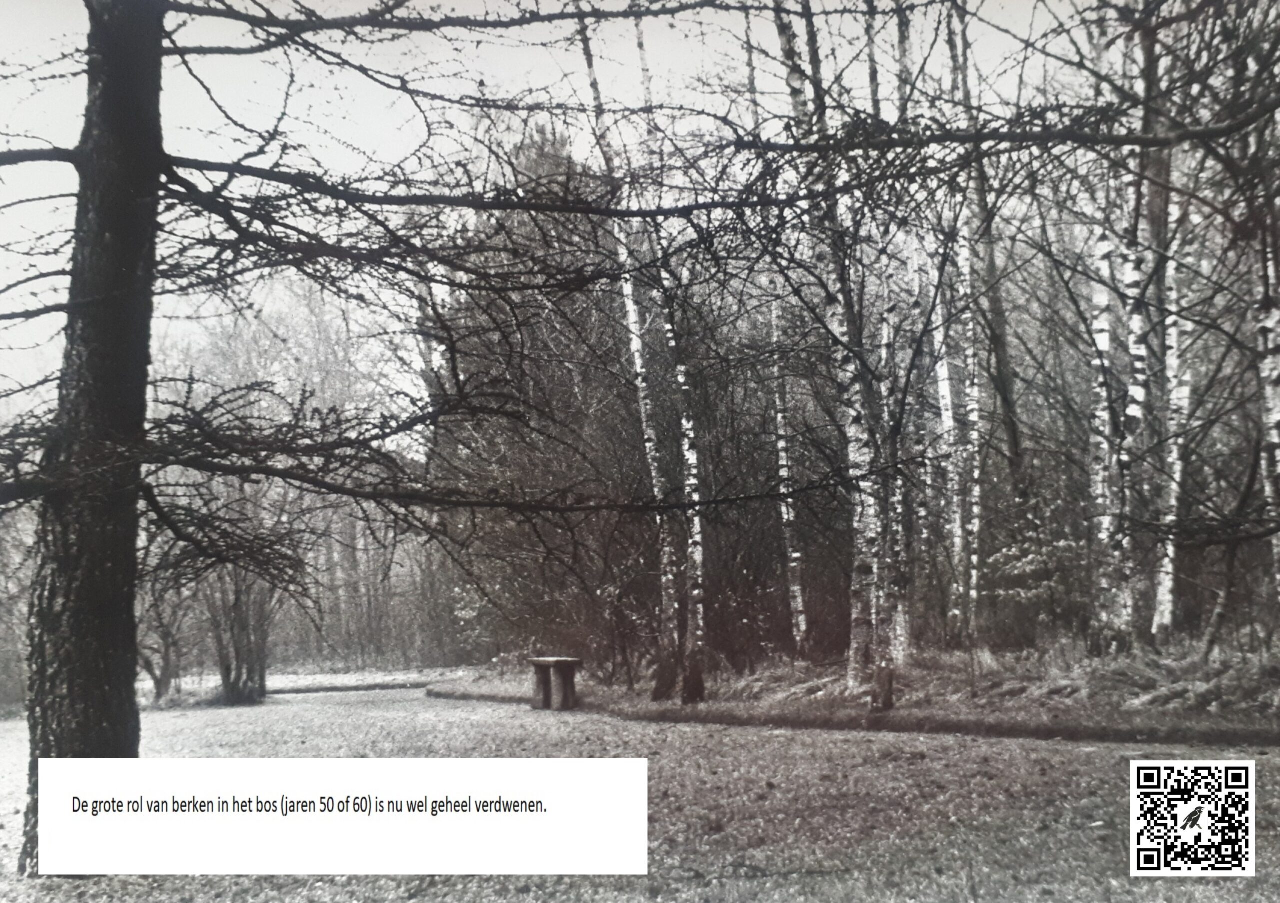 A3 - Foto 10 - jaar onbekend - fotograaf onbekend - met QR en tekst