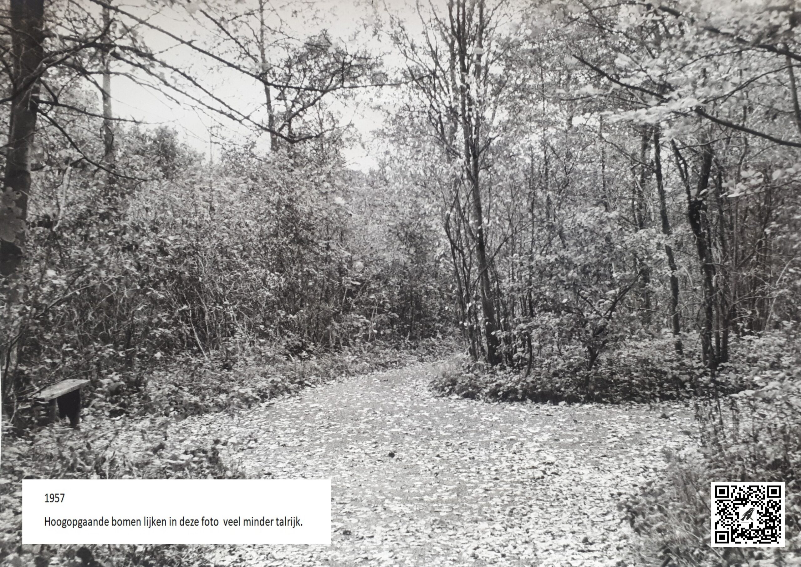 A3 - Foto 3 - 1957 - C. Beukelman - met QR en tekst