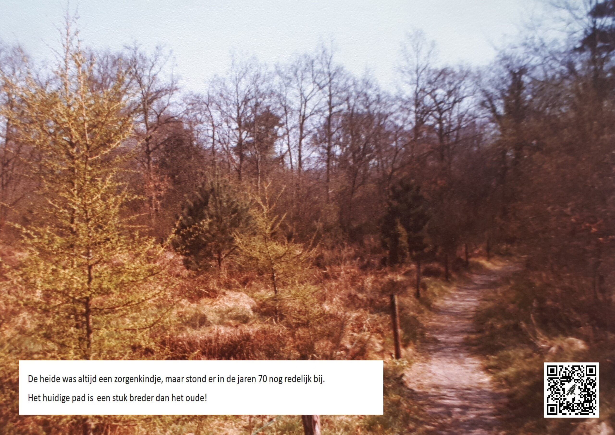 A3 - Foto 8 - jaren 70 - fotograaf onbekend - met QR en tekst